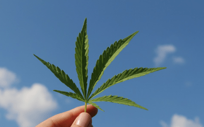Hoe wordt Cannabis in de medische industrie toegepast